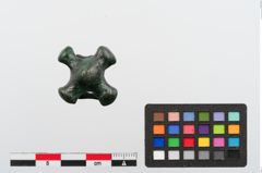 Foto von Bronzeriemendurchzug (NHMW-PRAE-024384)